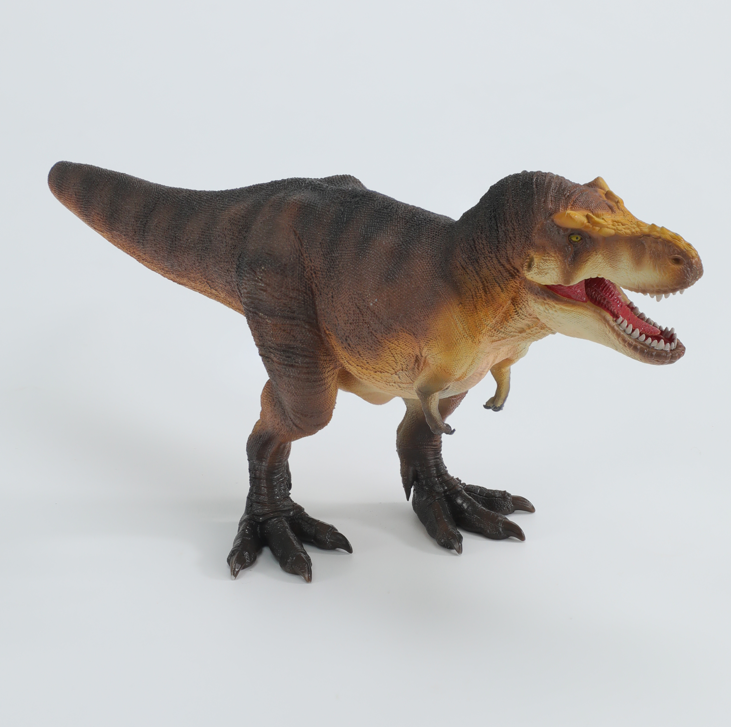 Tyrannosaurus+Osborne-3-cr.png